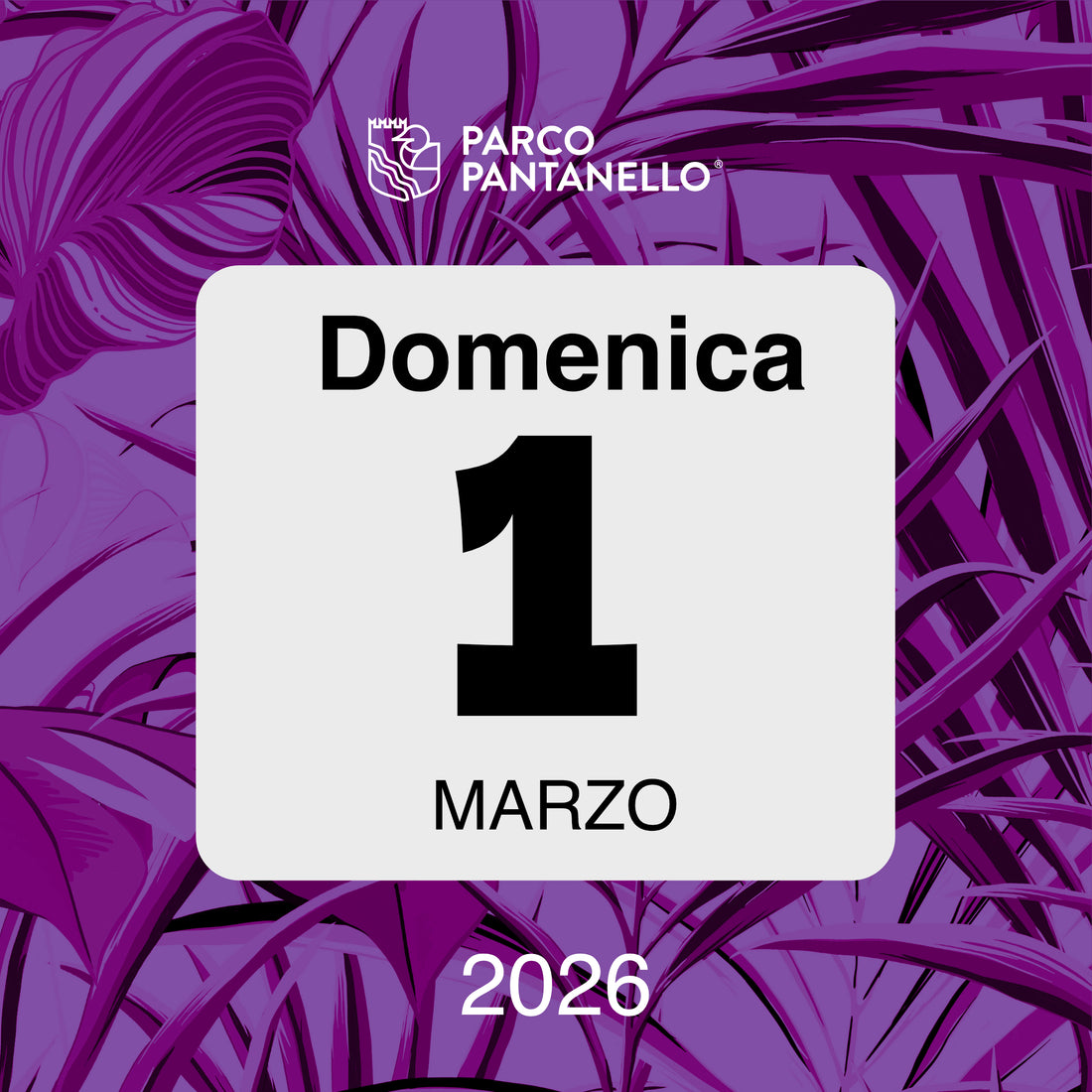 Domenica 1 Marzo 2026 - Parco Pantanello - Escursione guidata in Oasi
