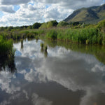 Pantanello-bg-678x678.jpg__PID:2799b00f-c033-46fe-b03a-3cfcc3345106