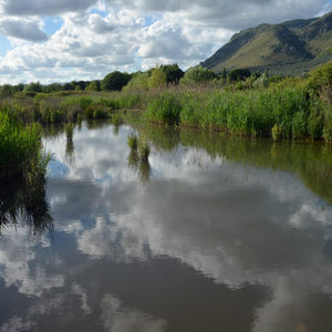 Pantanello-bg-678x678.jpg__PID:2799b00f-c033-46fe-b03a-3cfcc3345106