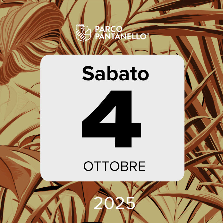 Sabato 4 Ottobre 2025 - Parco Pantanello - Eurobirdwatch