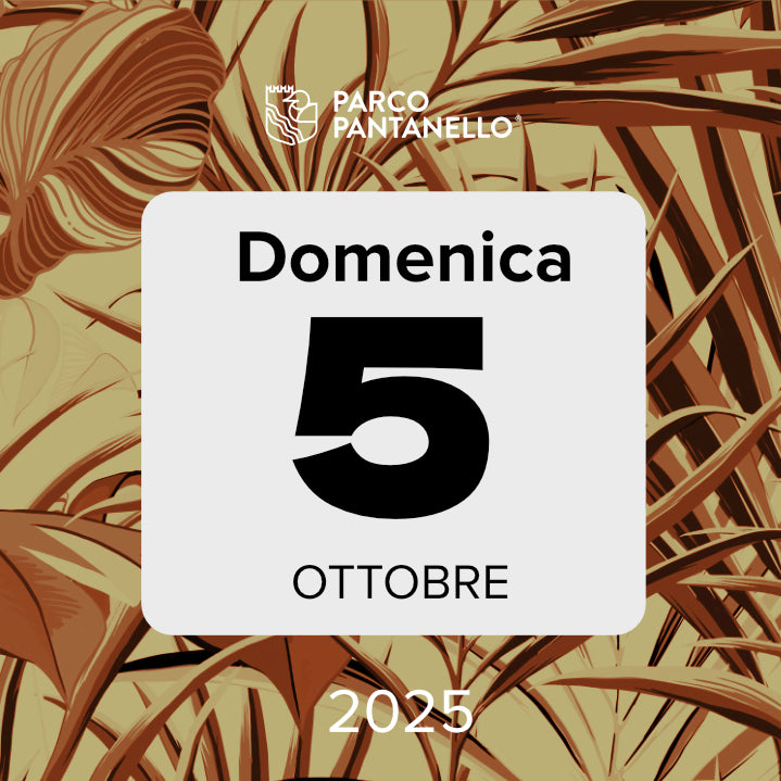Domenica 5 Ottobre 2025 - Parco Pantanello - Eurobirdwatch