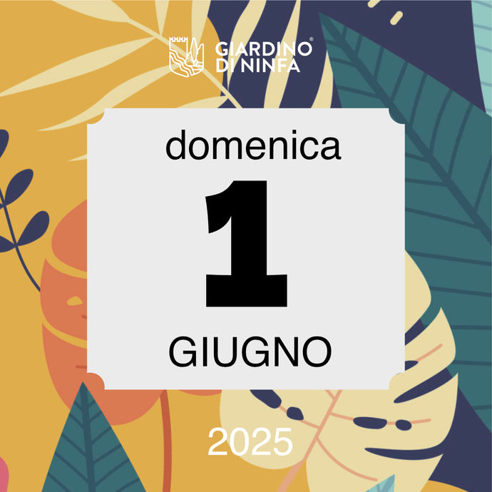 Domenica 1 Giugno 2025 - Giardino di Ninfa
