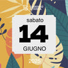 Sabato 14 Giugno 2025 - Giardino di Ninfa