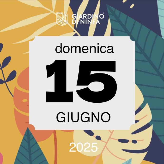 Domenica 15 Giugno 2025 - Giardino di Ninfa