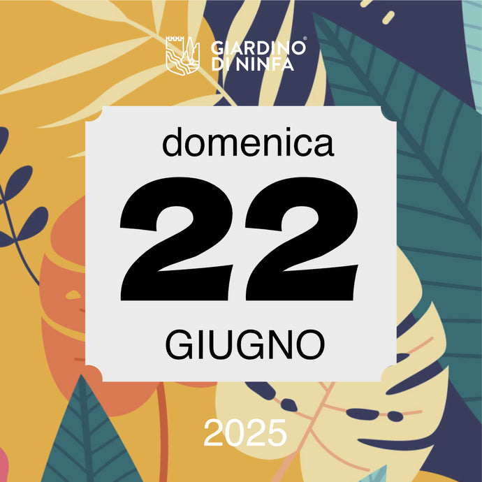 Domenica 22 Giugno 2025 - Giardino di Ninfa
