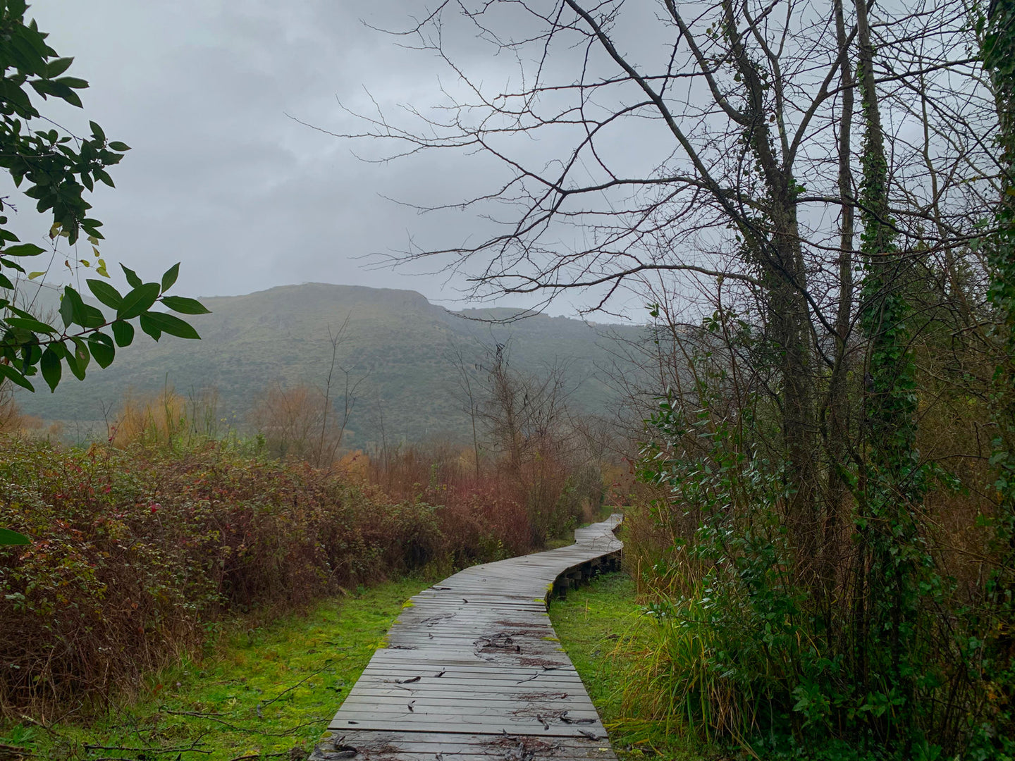 pantanello-card2.jpg__PID:a0cd9650-874d-4092-9430-bac243d6a959