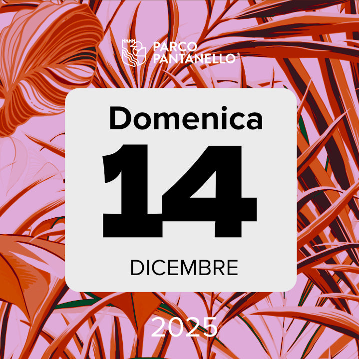 Domenica 14 Dicembre 2025 - Parco Pantanello - Escursione guidata in Oasi
