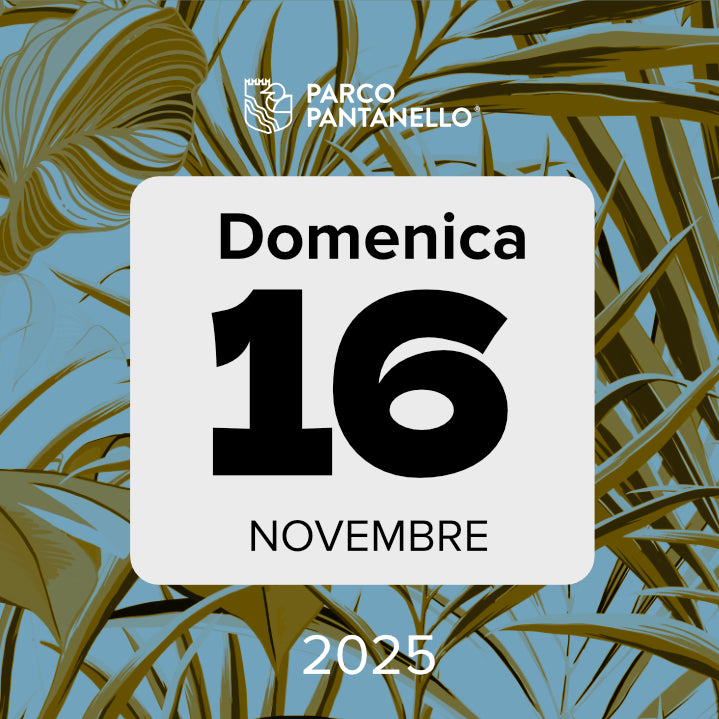 Domenica 16 Novembre 2025 - Parco Pantanello - Escursione guidata in Oasi