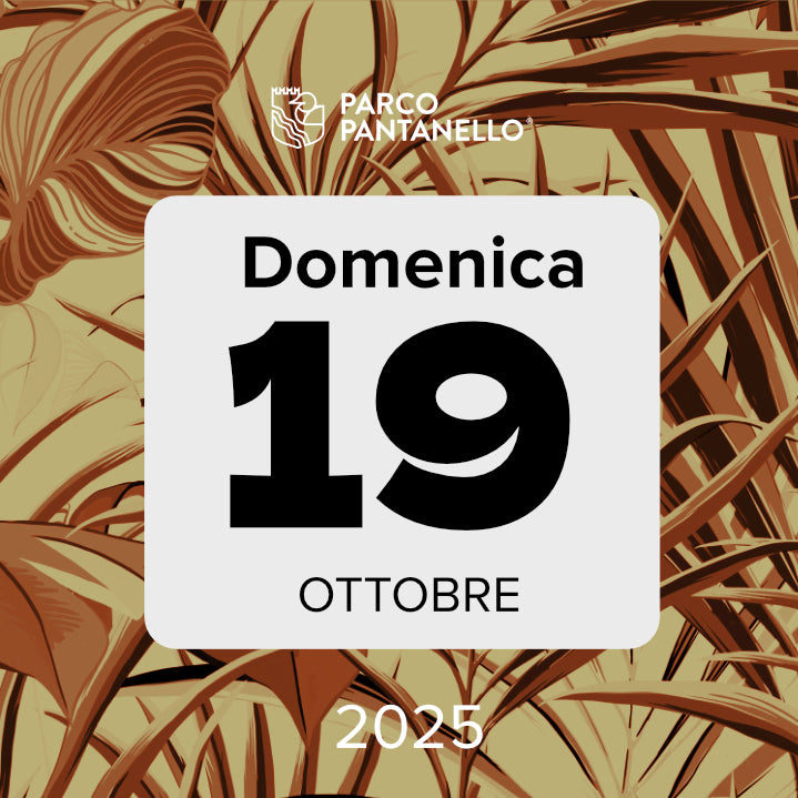 Domenica 19 Ottobre 2025 - Parco Pantanello - Escursione guidata in Oasi