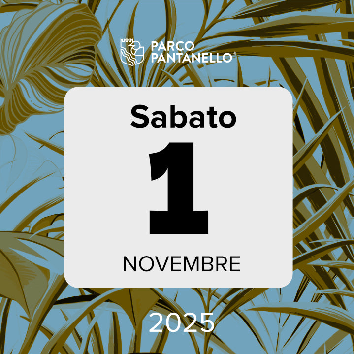 Sabato 1 Novembre 2025 - Parco Pantanello - Escursione guidata in Oasi