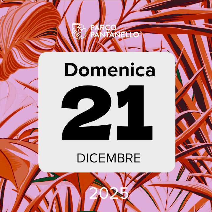 Domenica 21 Dicembre 2025 - Parco Pantanello - Escursione guidata in Oasi