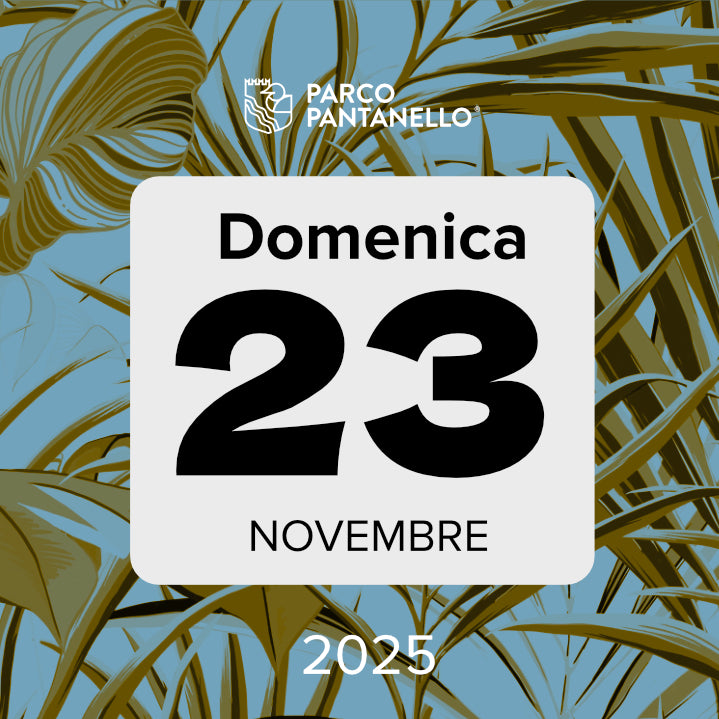 Domenica 23 Novembre 2025 - Parco Pantanello - Escursione guidata in Oasi