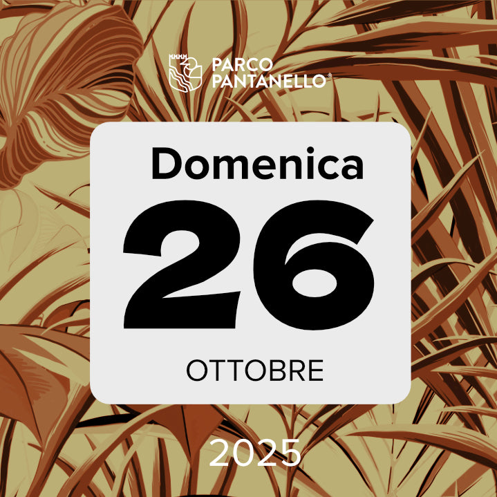 Domenica 26 Ottobre 2025 - Parco Pantanello - Escursione guidata in Oasi