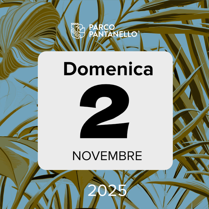 Domenica 2 Novembre 2025 - Parco Pantanello - Escursione guidata in Oasi
