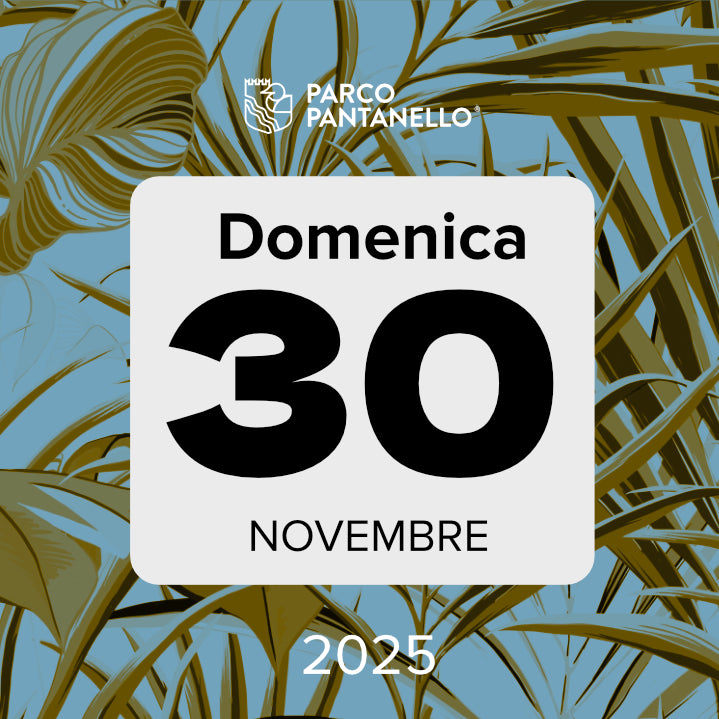 Domenica 30 Novembre 2025 - Parco Pantanello - Escursione guidata in Oasi