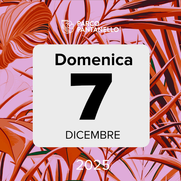 Domenica 7 Dicembre 2025 - Parco Pantanello - Escursione guidata in Oasi