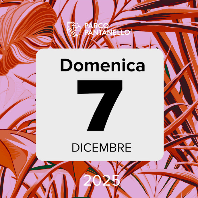 Domenica 7 Dicembre 2025 - Parco Pantanello - Escursione guidata in Oasi