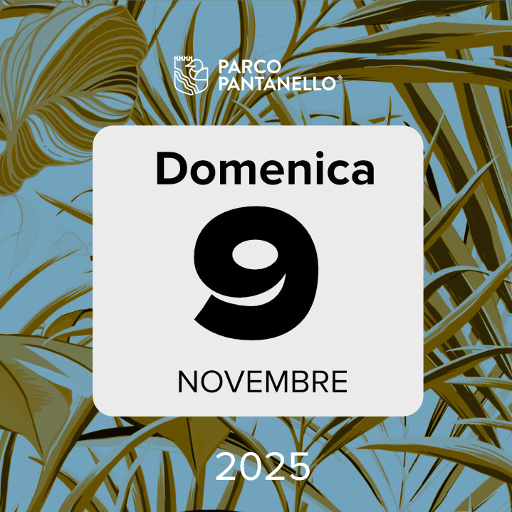 Domenica 9 Novembre 2025 - Parco Pantanello - Escursione guidata in Oasi