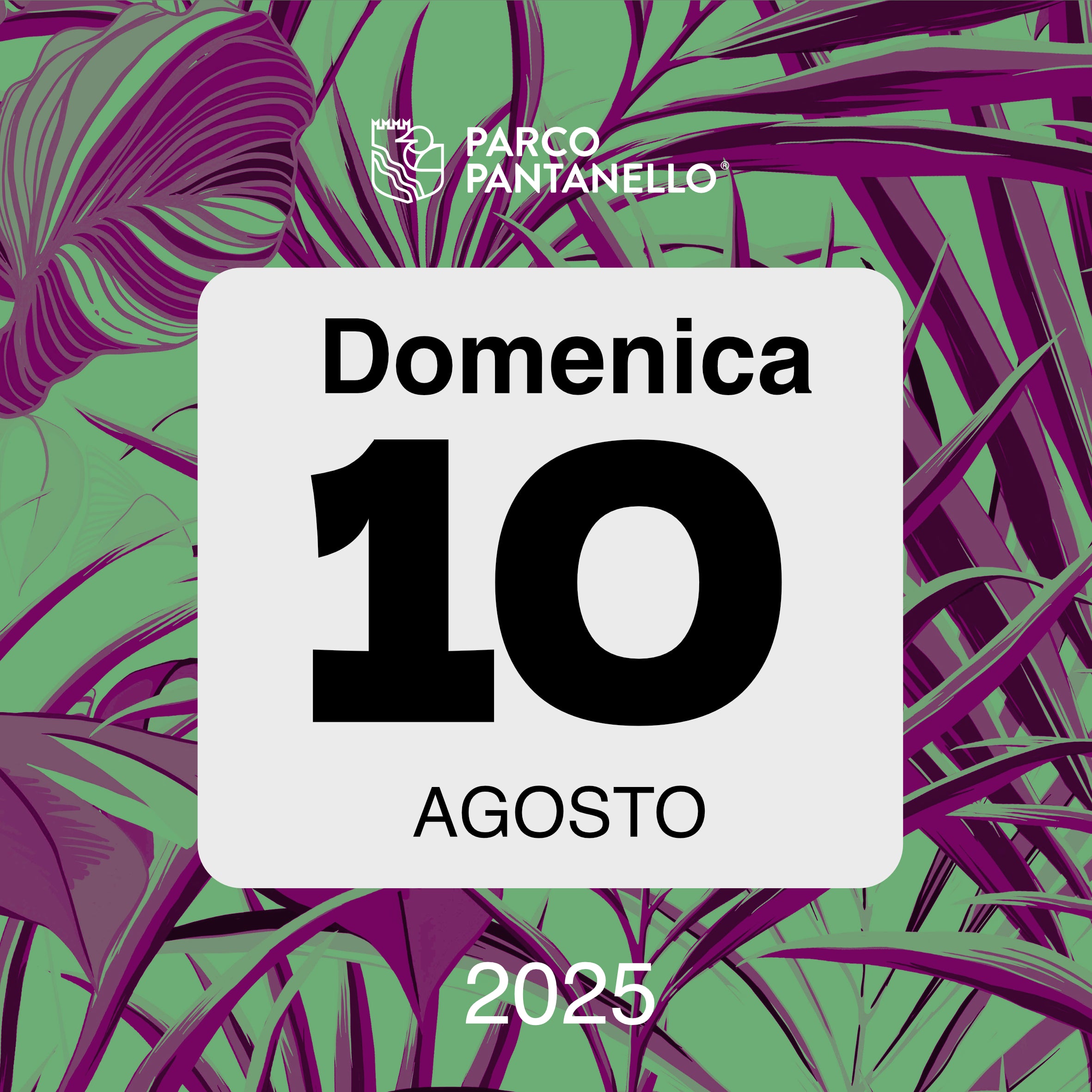 Domenica 10 Agosto 2025 - Parco Pantanello - Il Parco delle stelle