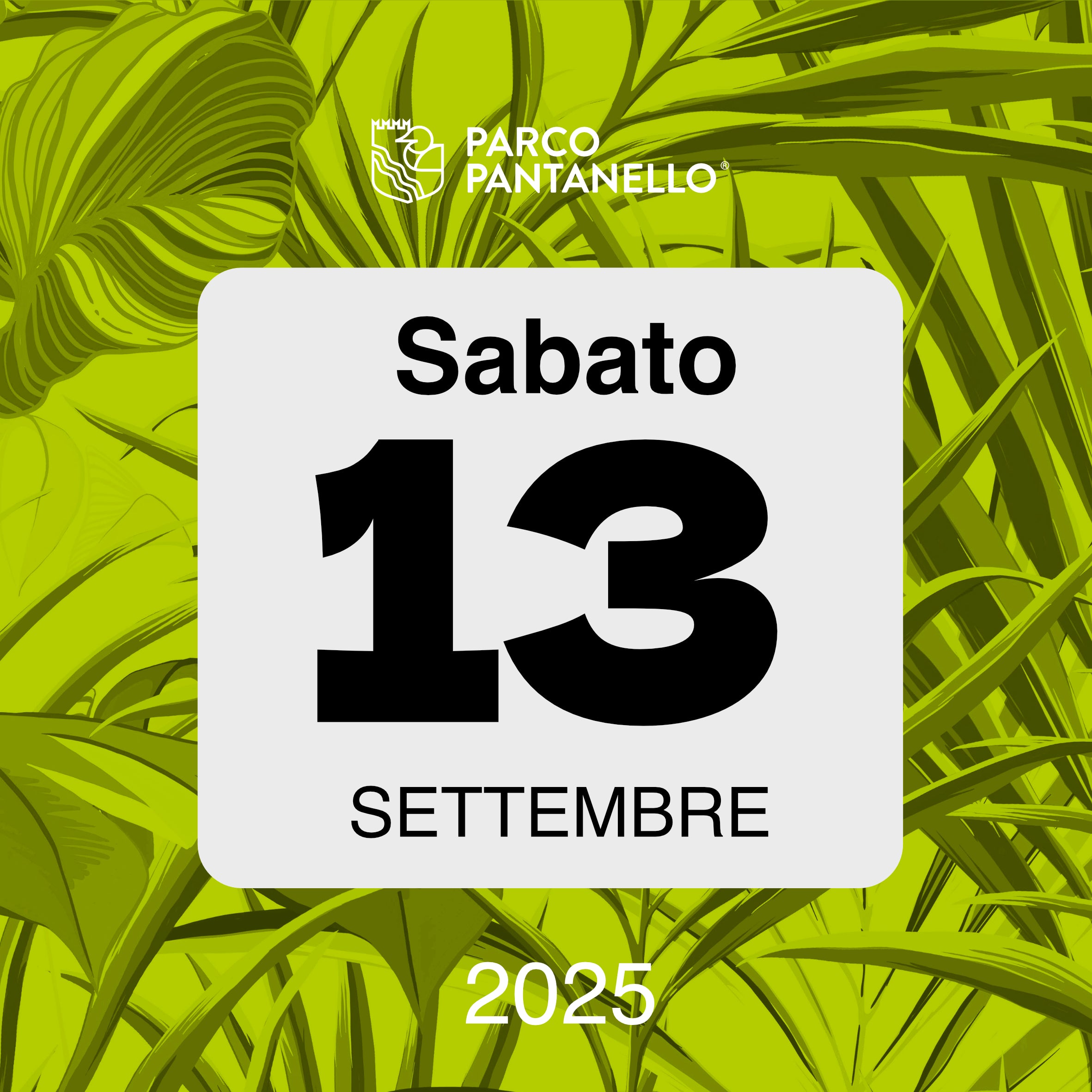 Sabato 13 Settembre 2025 - Parco Pantanello - Note in Oasi