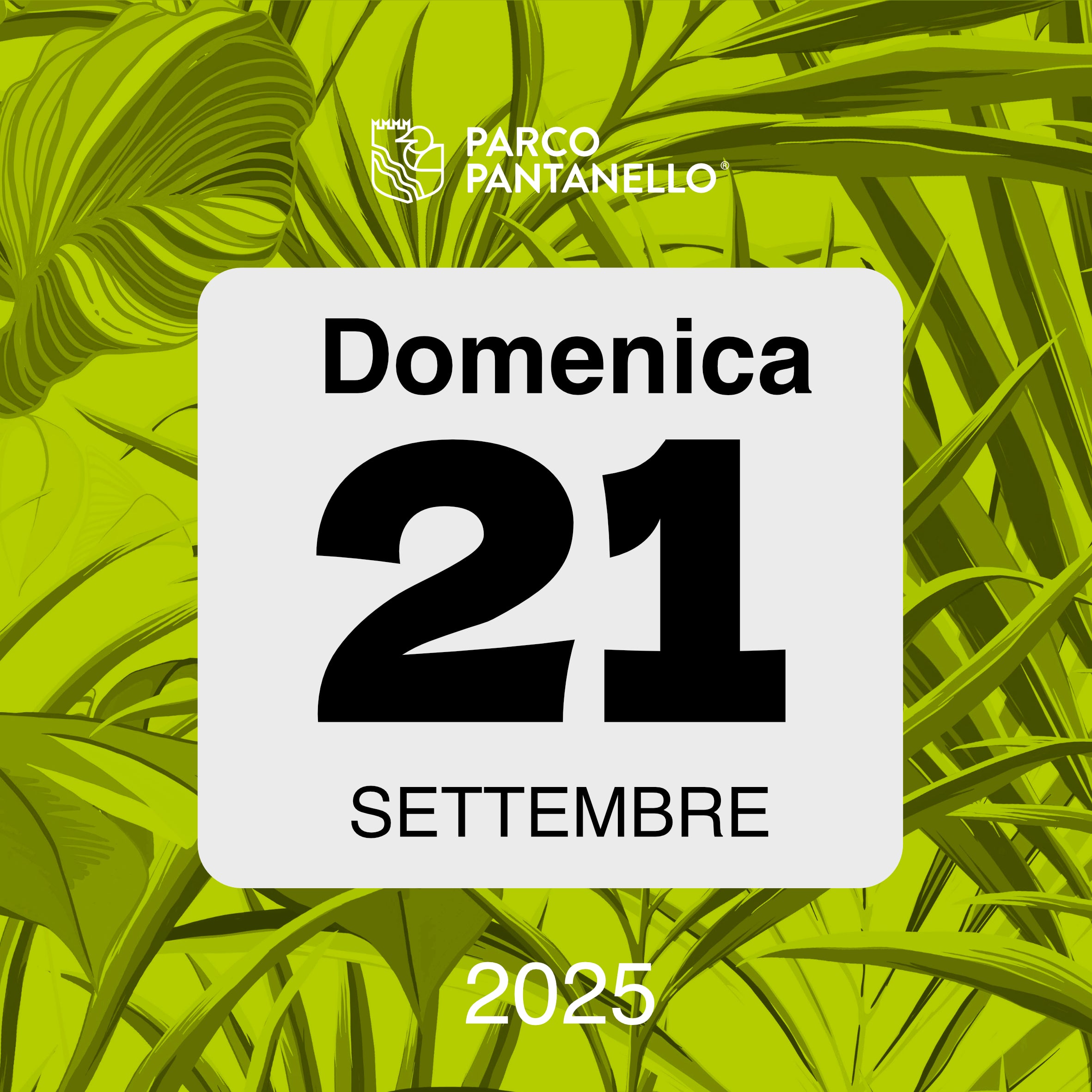 Domenica 21 Settembre 2025 - Parco Pantanello - Aspettando l'autunno