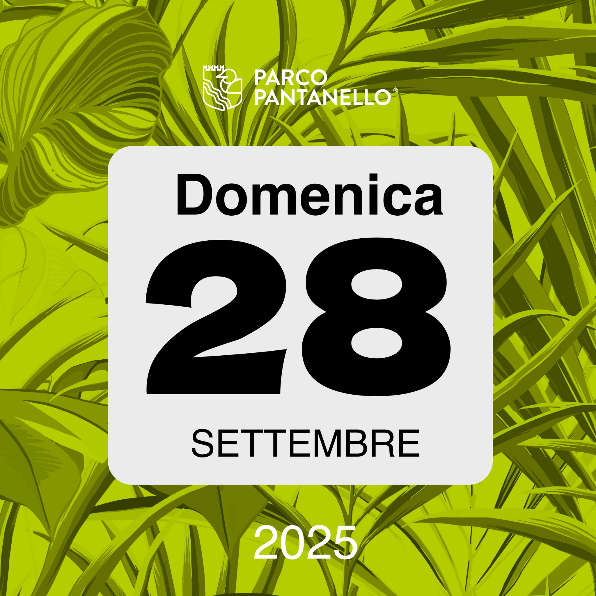 Domenica 28 Settembre 2025 - Parco Pantanello - Escursione guidata in Oasi