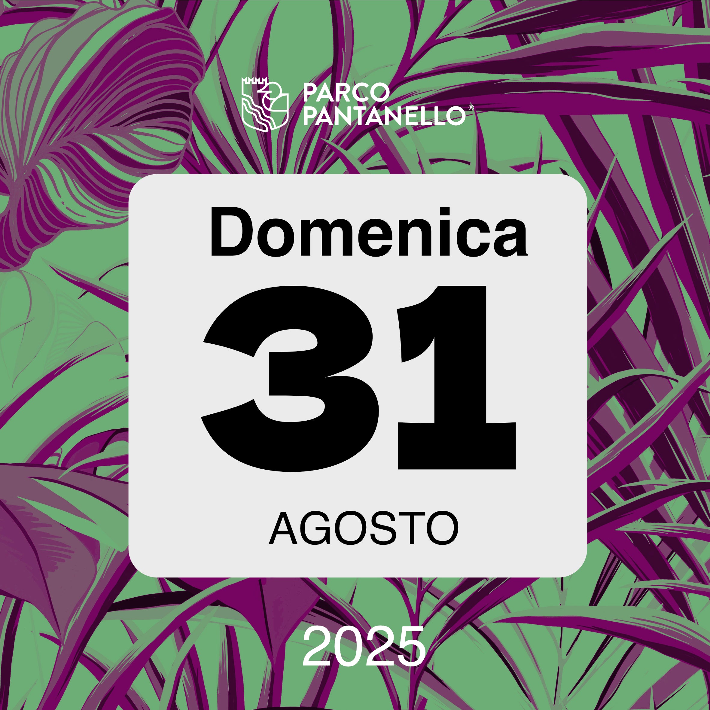 Domenica 31 Agosto 2025 - Parco Pantanello - Notte dei gufi