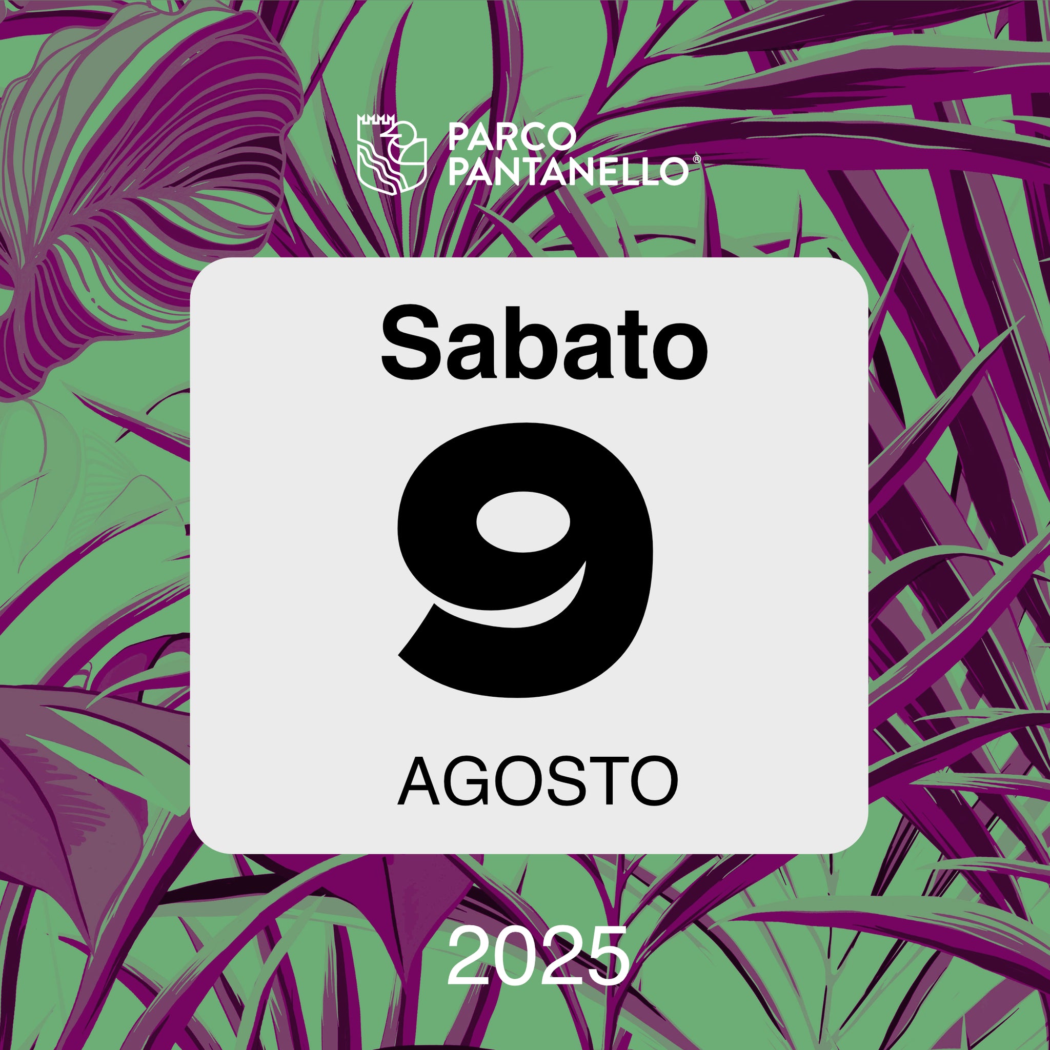 Sabato 9 Agosto 2025 - Parco Pantanello - Il Parco delle stelle